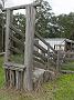 Tinonee-orchids-II 034